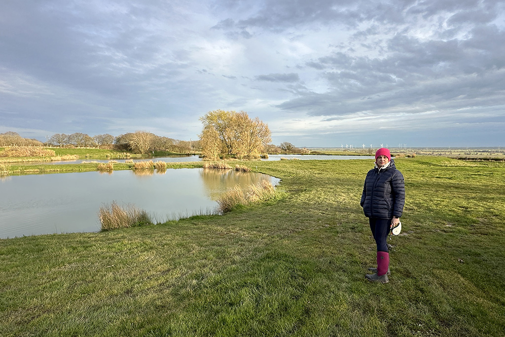 knightingale farm 04