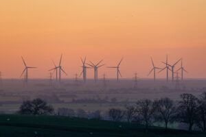 knightingale farm 12