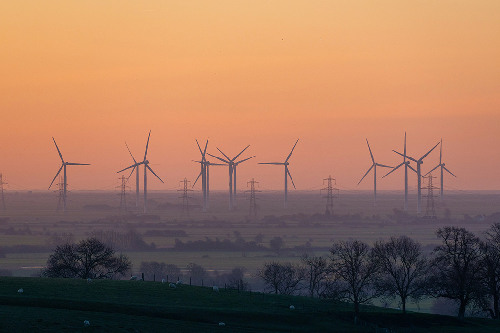 knightingale farm 12