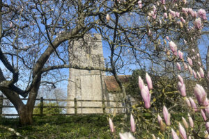 knightingale farm 15