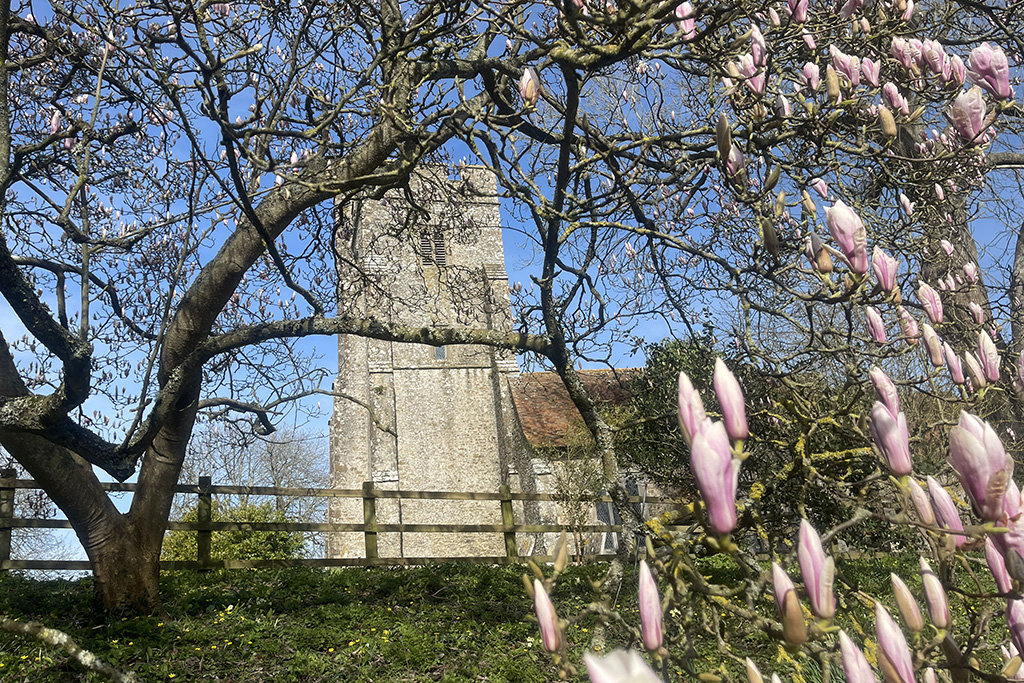 knightingale farm 15