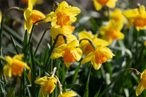 knightingale farm 16