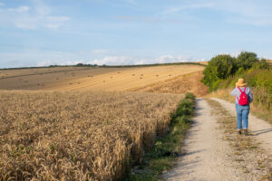 tretham mill cornwall 05