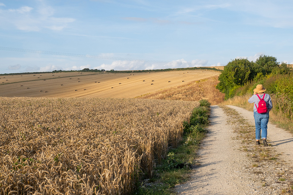 tretham mill cornwall 05