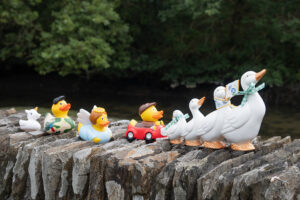 tretham mill cornwall 28