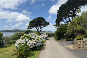 tretham mill cornwall 42