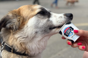 tretham mill cornwall 43