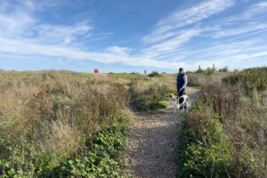 normans bay east sussex 04