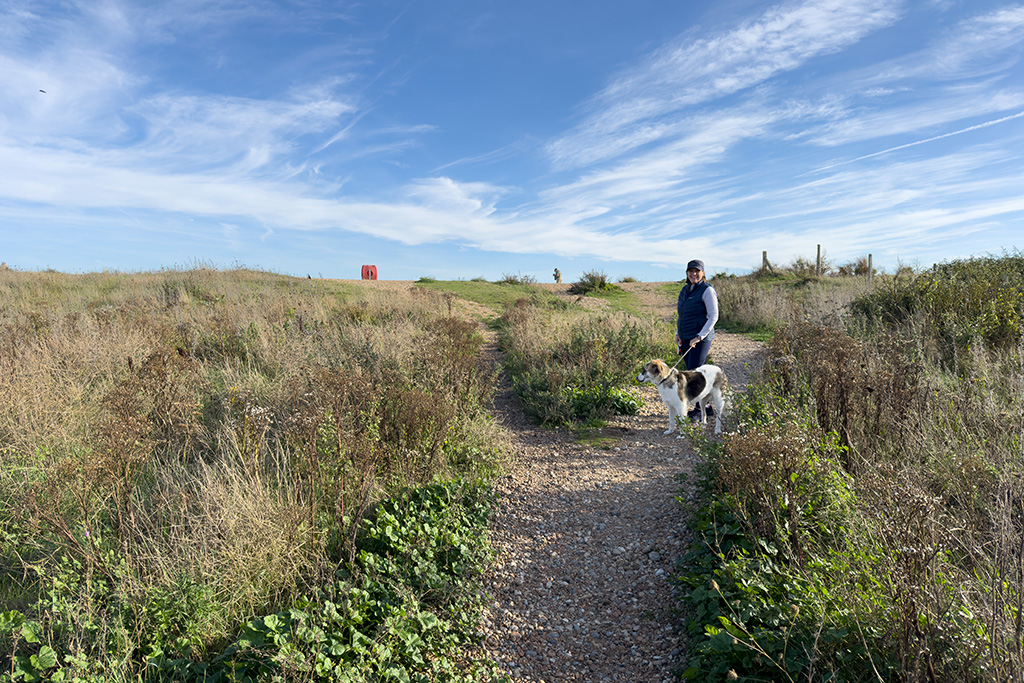 normans bay east sussex 04