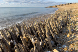 normans bay east sussex 26