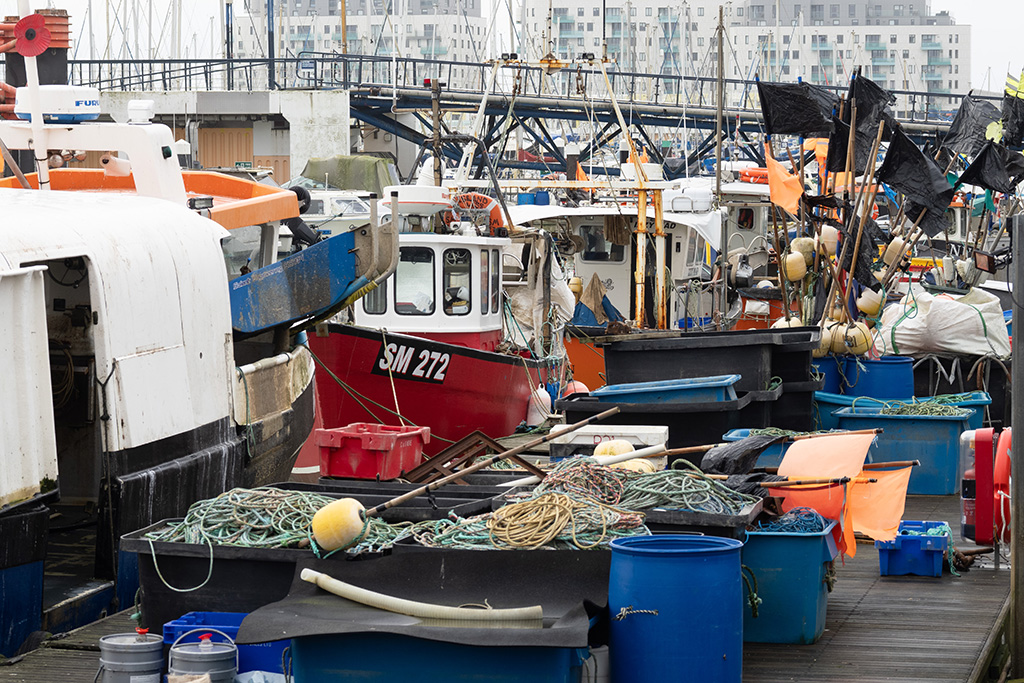 brighton new year 13