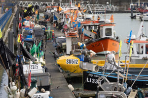 brighton new year 14