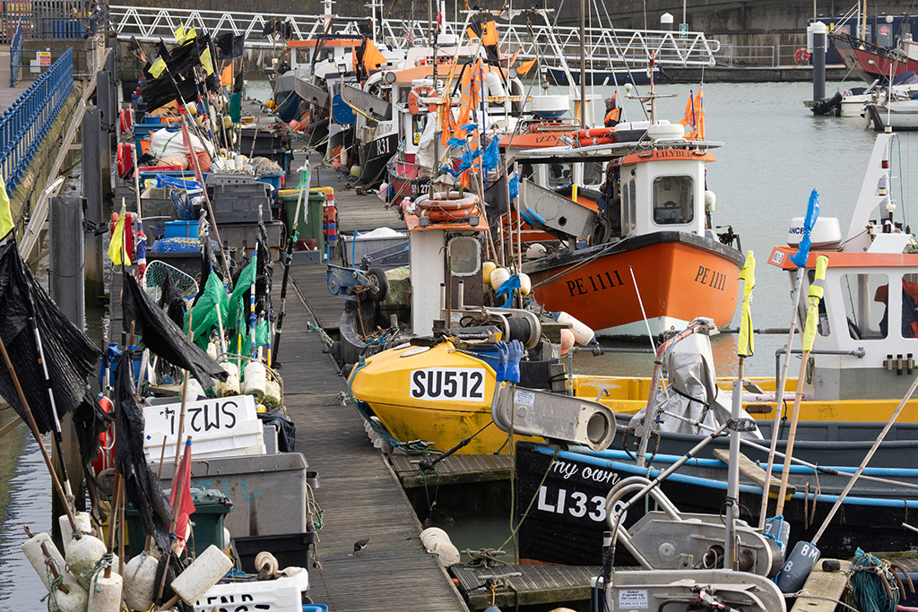 brighton new year 14