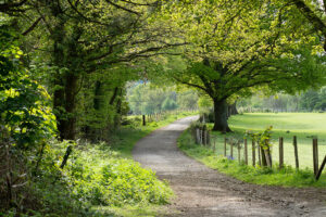 battle normanshurst camc 06