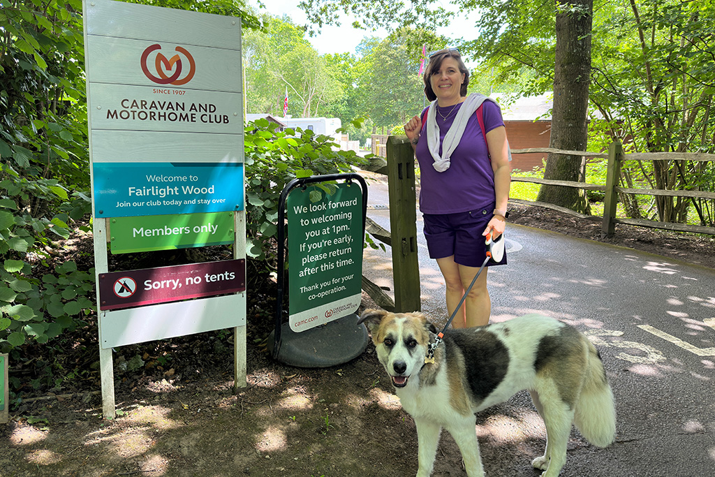 fairlight wood camc 01