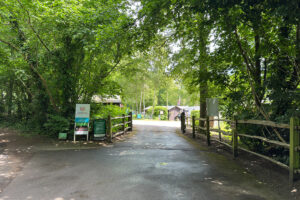 fairlight wood camc 02