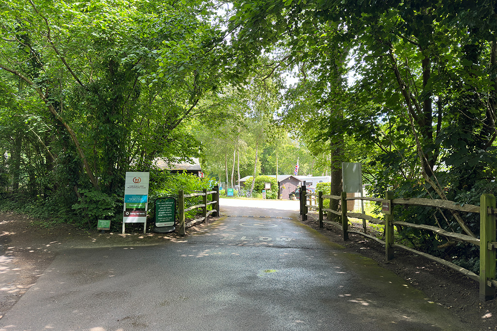 fairlight wood camc 02