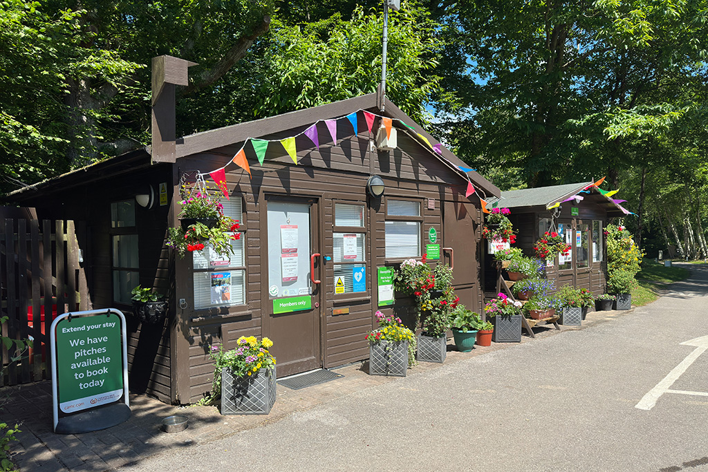 fairlight wood camc 03