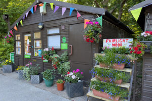 fairlight wood camc 04