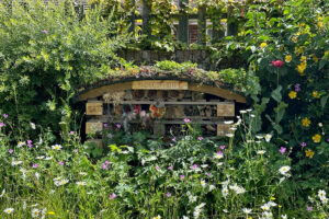 fairlight wood camc 06