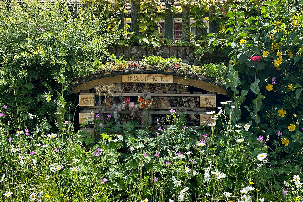 fairlight wood camc 06