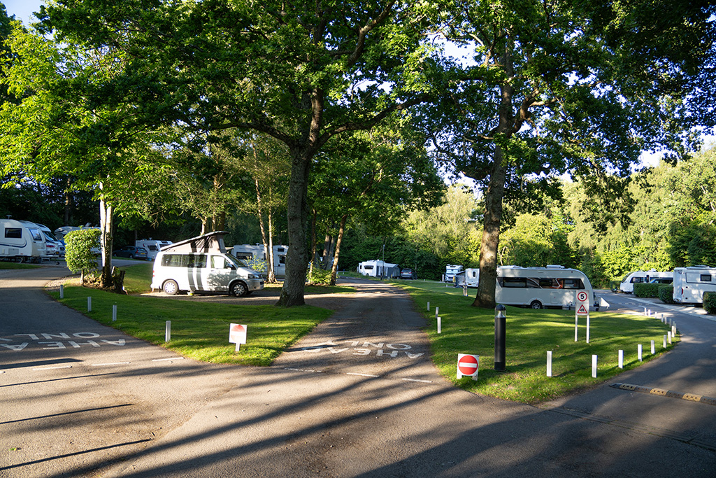 fairlight wood camc 08