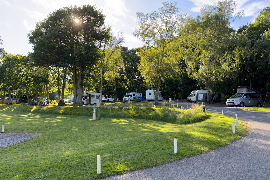 fairlight wood camc 09