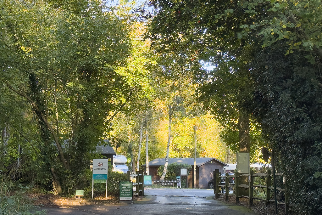 fairlight wood campsite 01