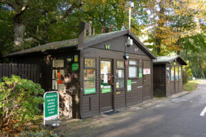 fairlight wood campsite 02