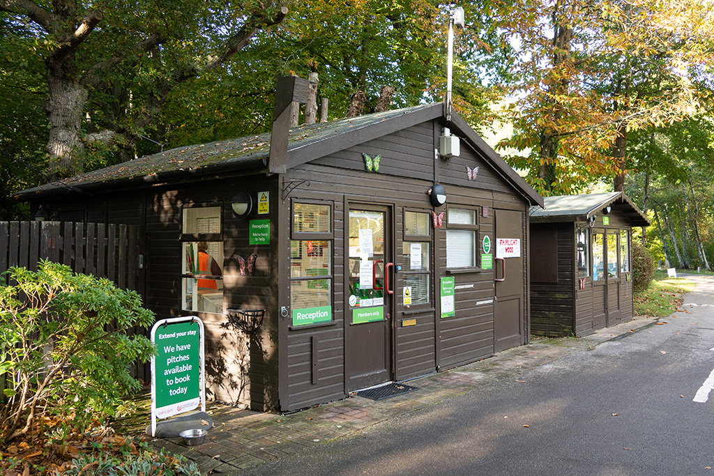 fairlight wood campsite 02