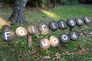 fairlight wood campsite 03