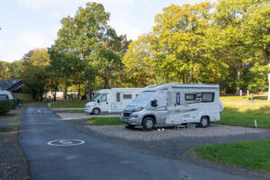 fairlight wood campsite 04