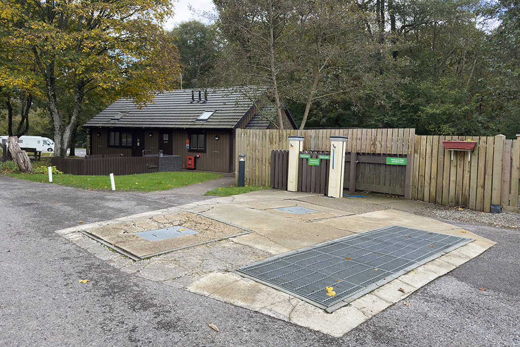 fairlight wood campsite 05