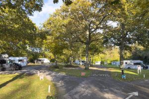 fairlight wood campsite 06