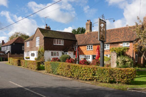 fairlight wood campsite 07