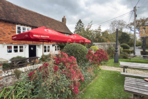 fairlight wood campsite 08