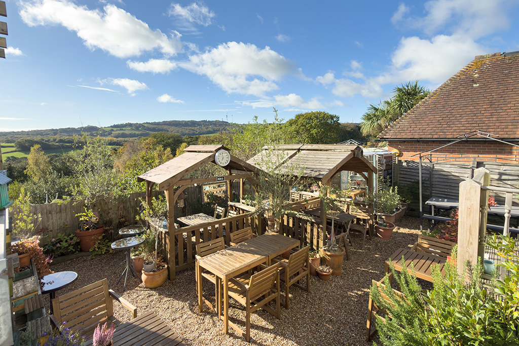 fairlight wood campsite 11