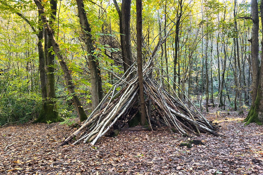 fairlight wood campsite 18