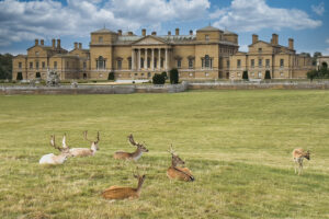 holkham hall 01