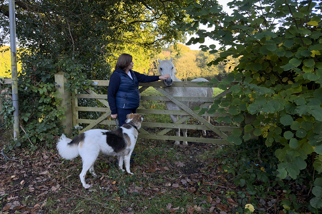 kloofs holiday park 06