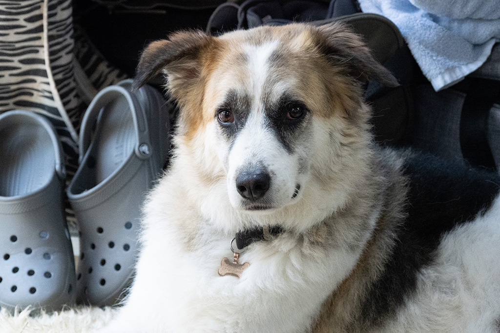 kloofs holiday park 10