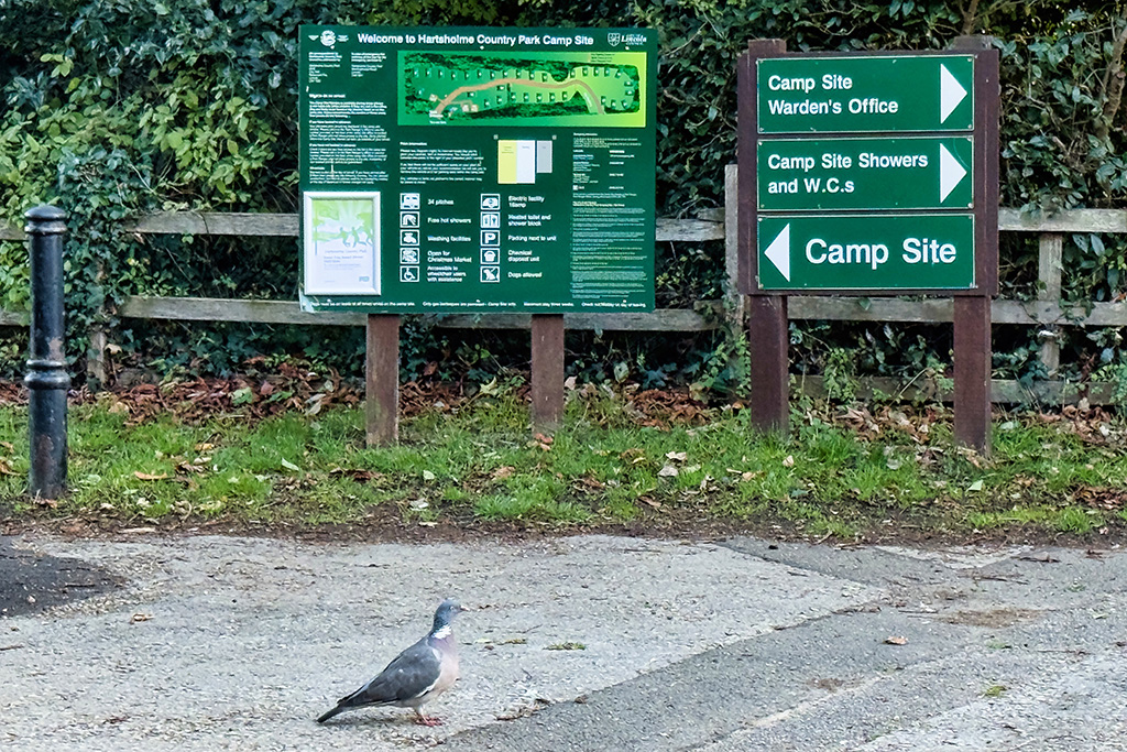 mmtour 4 lincoln 231