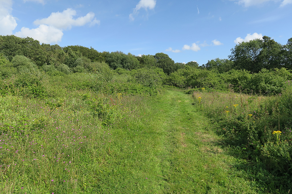 horam manor country park 4