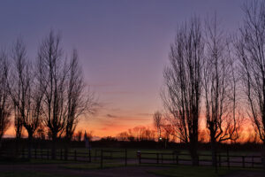 romney meadows campsite 07