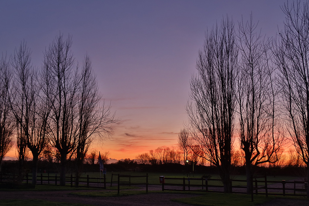 romney meadows campsite 07