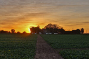 romney meadows campsite 08