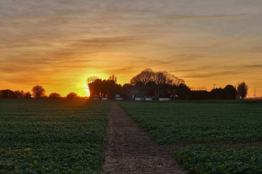romney meadows campsite 08