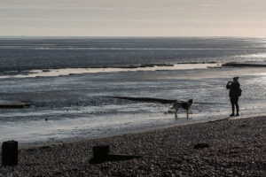 romney meadows campsite 14
