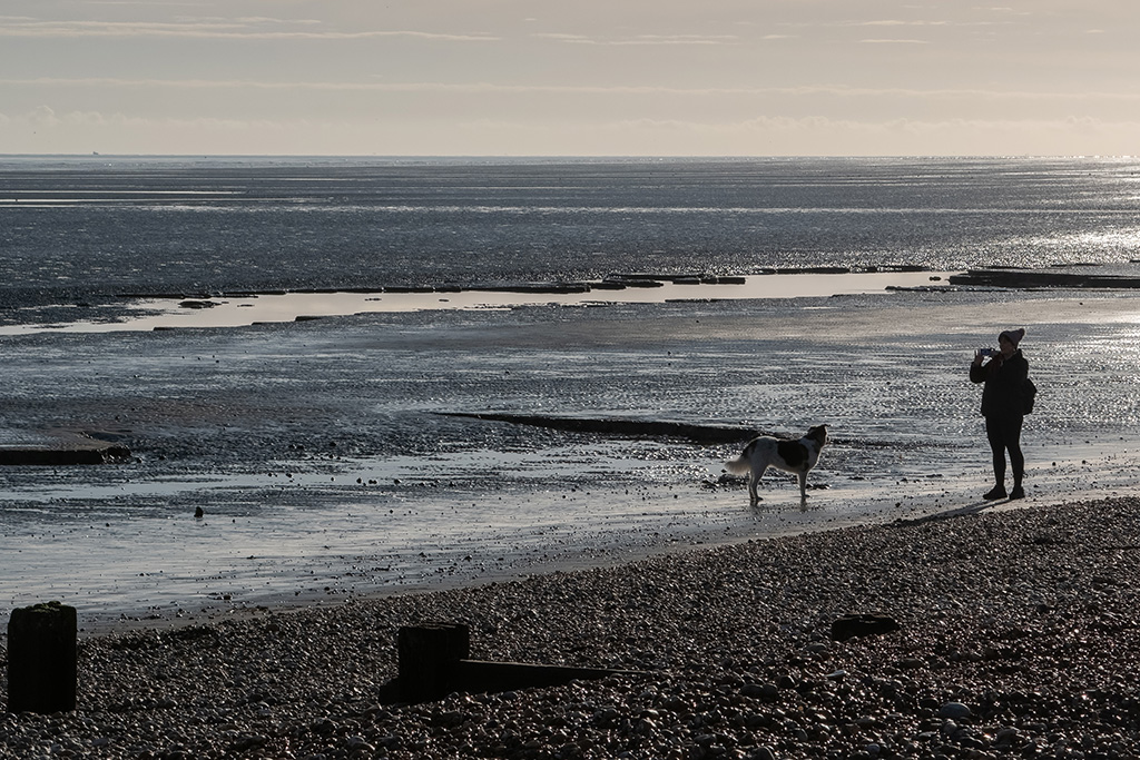 romney meadows campsite 14