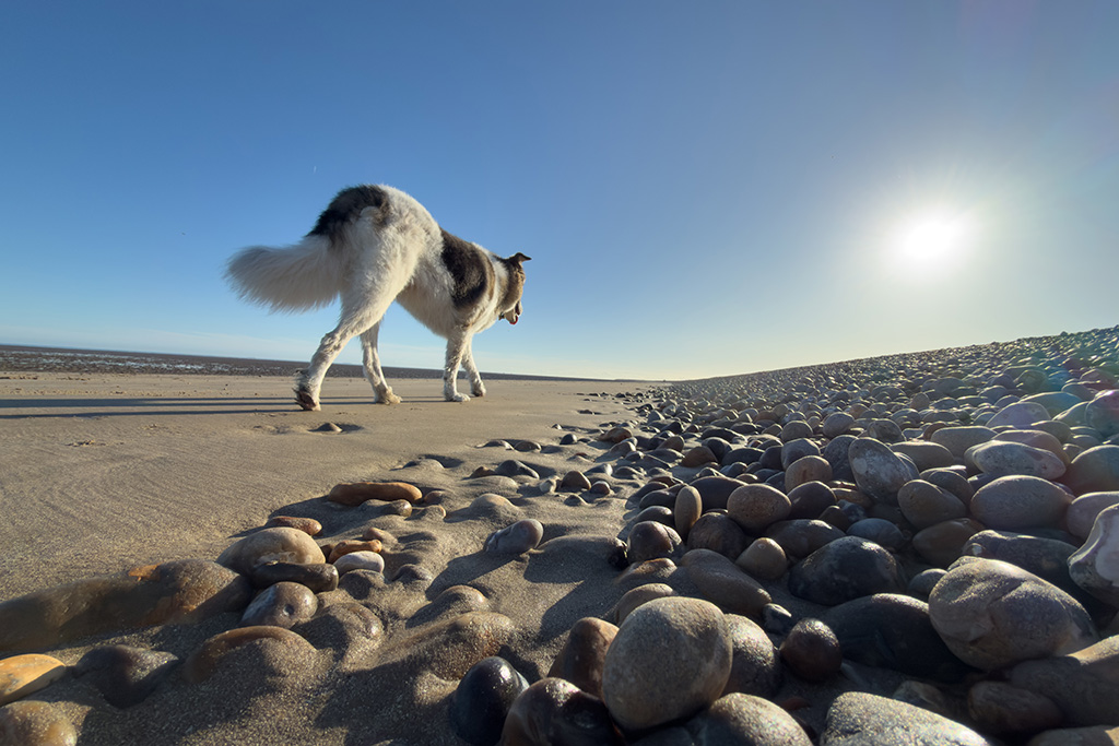 romney meadows campsite 20